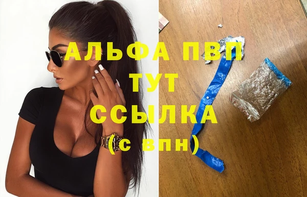 стафф Краснотурьинск