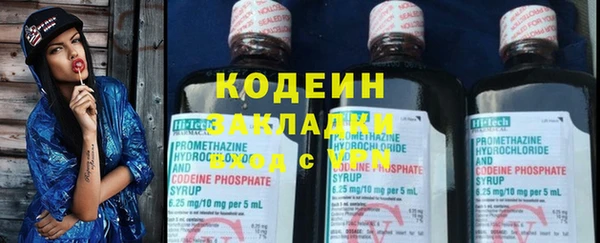 твердый Лагань