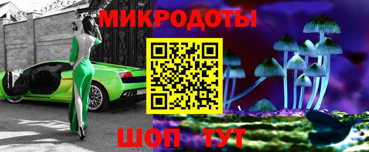 Псилоцибиновые грибы Psilocybe  Вход с VPN  Красноперекопск  Псилоцибиновые грибы мухоморы 