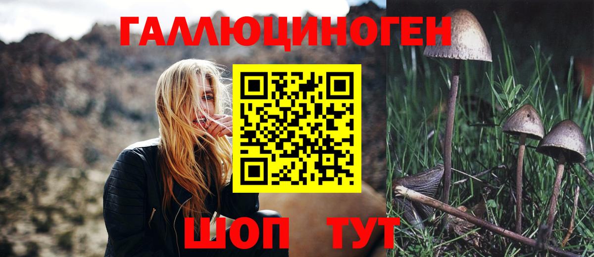 Псилоцибиновые грибы прущие грибы Красноперекопск